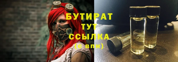 хмурый Аркадак