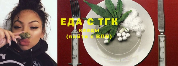 хмурый Аркадак