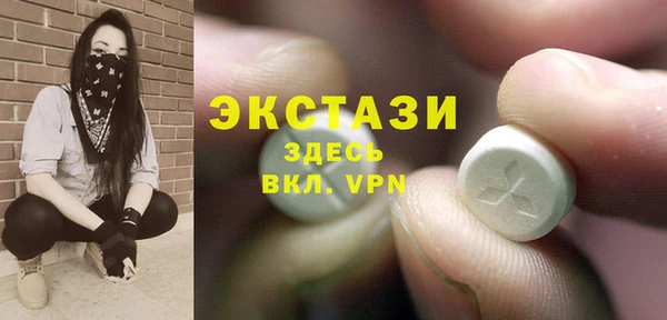 хмурый Аркадак