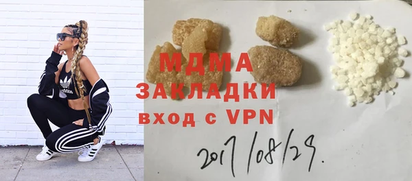 хмурый Аркадак