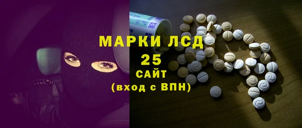 хмурый Аркадак
