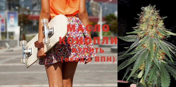 хмурый Аркадак