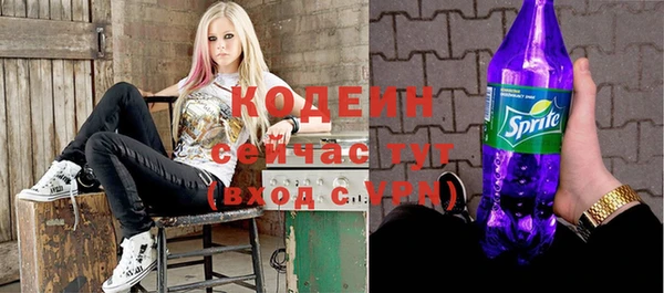 хмурый Аркадак
