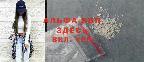 прущие грибы Арсеньев