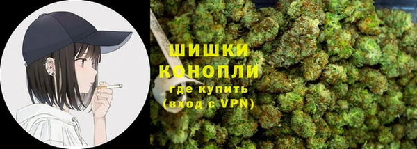 прущие грибы Арсеньев