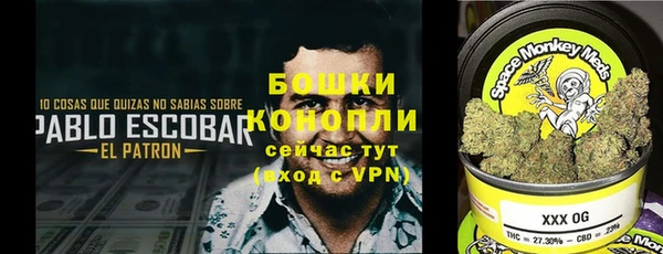 хмурый Аркадак