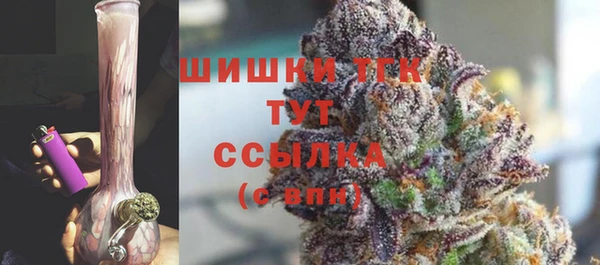 хмурый Аркадак